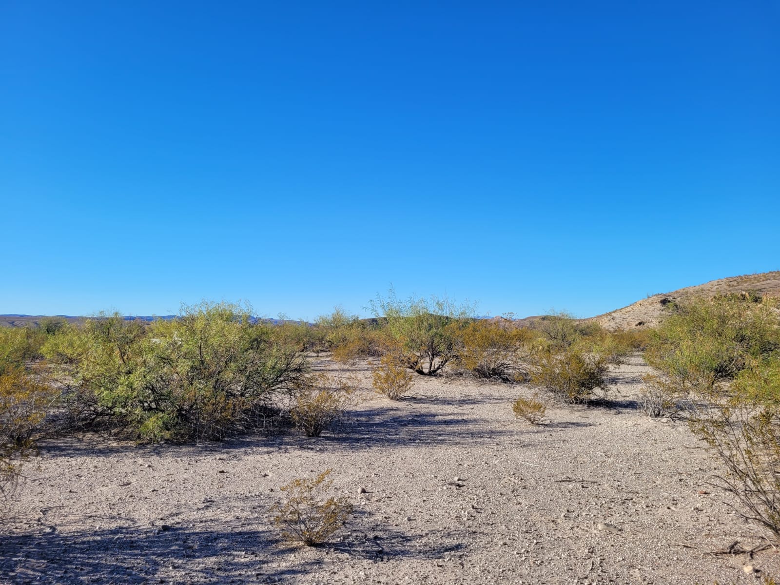 Tract 24 at Vista Linda Canyon in Presidio County, Texas